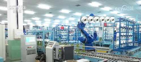 打造輕工新品 名品 精品方陣 培育老年用品 預(yù)制化食品等新增長點